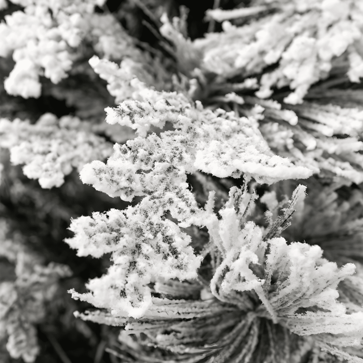 Albero di Natale innevato con pigne "Nevischio" in PE effetto Real Touch + PP cm 240h - MondoViro