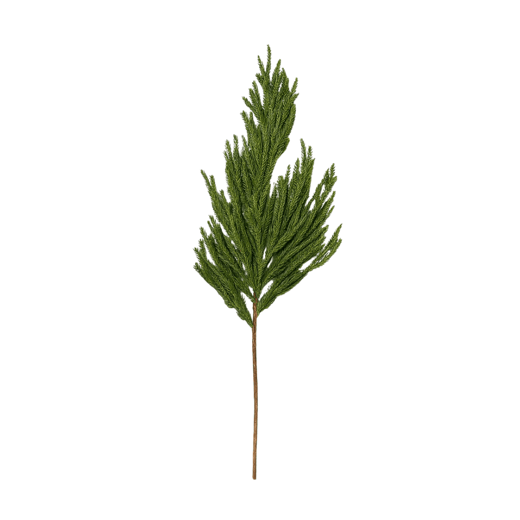 Ramo verde Norfolk Pine in Pe effetto Real Touch da 90 cm - MondoViro