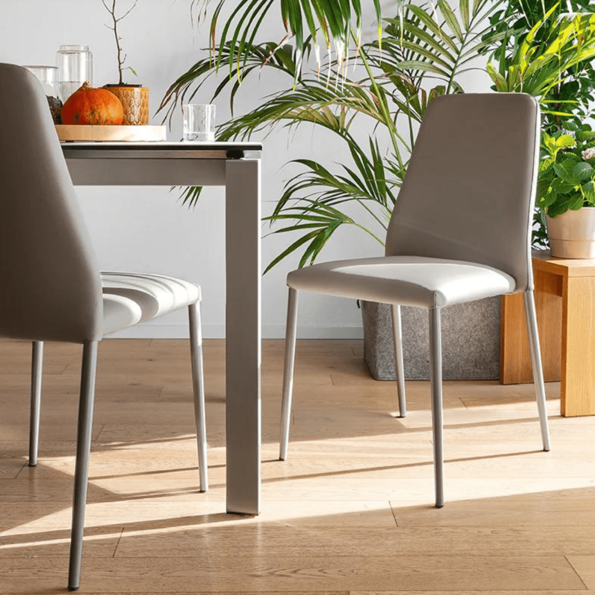 Set di sedie moderne da soggiorno "Club" con seduta e schienale imbottiti cm 47x57 91h - MondoViro