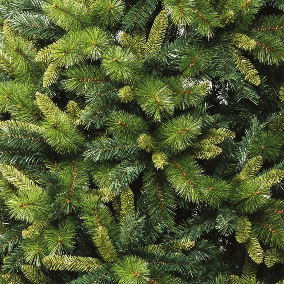 Albero di Natale "Rafael" in PP Effetto aghi di pino + PVC di altissima qualità - MondoViro