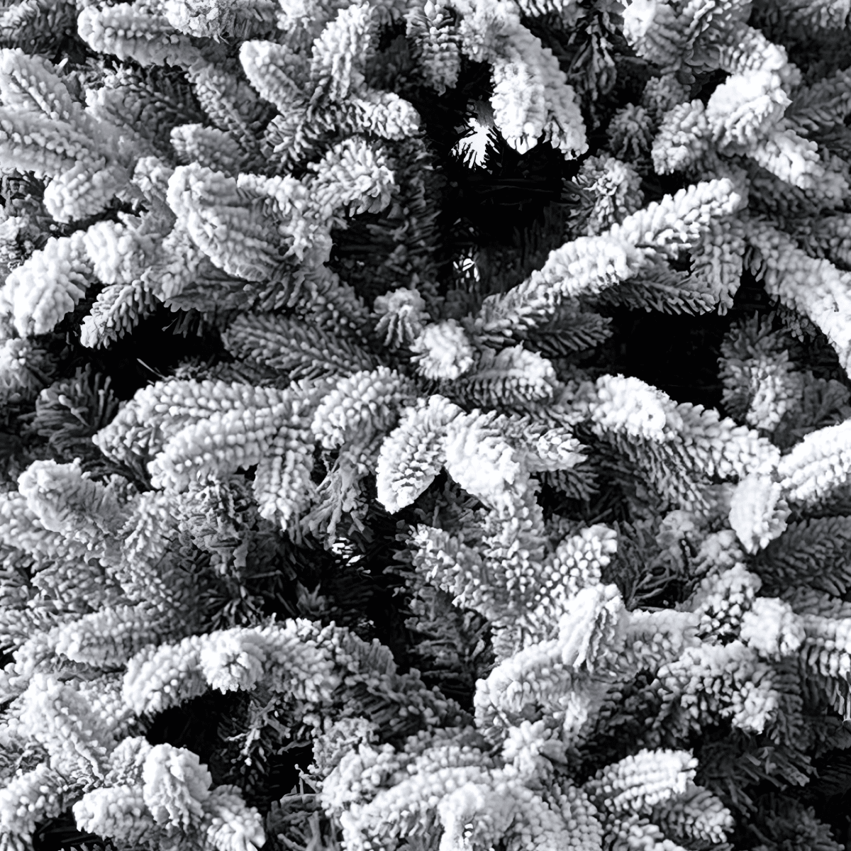 Albero di Natale innevato slim "Cometa" moderno in PE effetto Real Touch + Flock - MondoViro