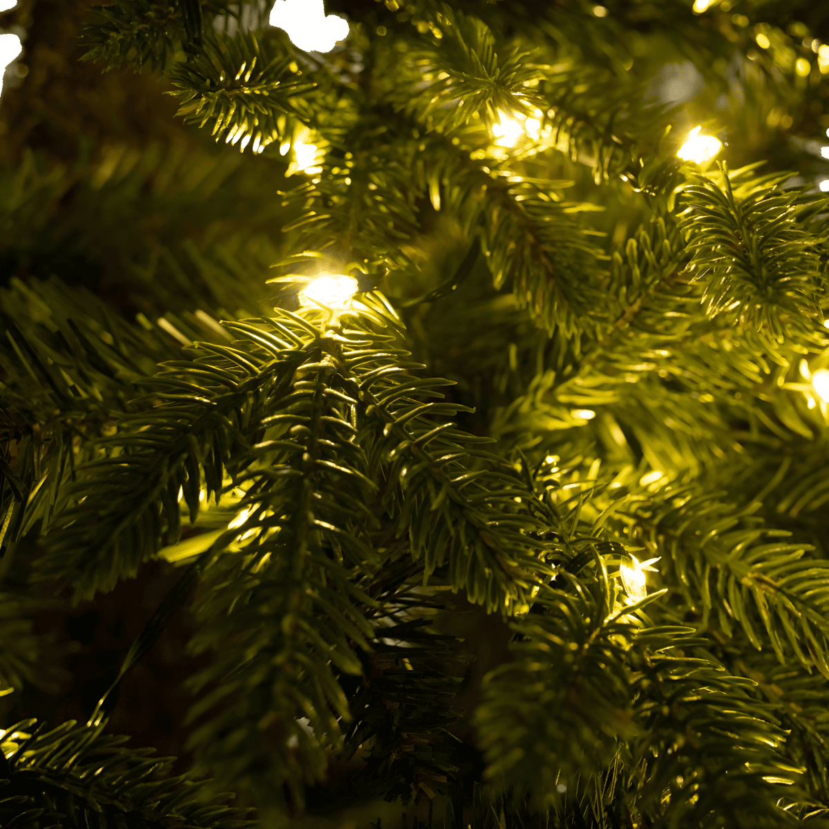 Albero di Natale "Magia" con Led 70% PE Effetto Real Touch + PVC altissima qualità cm 180h - MondoViro