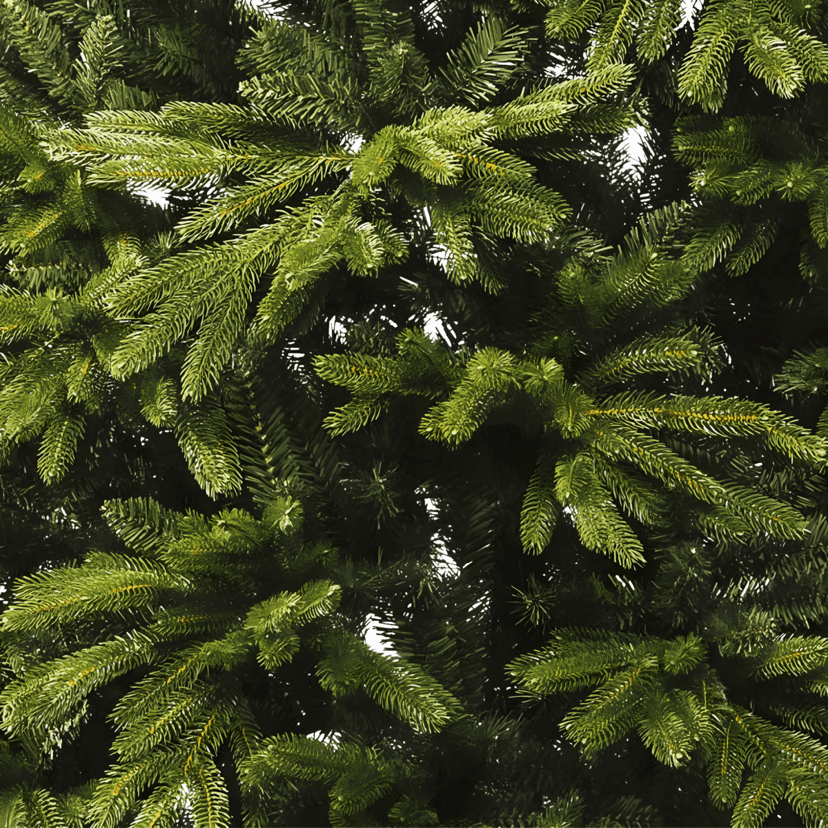 Albero di natale "Spitsbergen" 90% in PE Effetto Real Touch di Altissima qualità - MondoViro